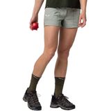 Salewa - Puez DST Cargo Shorts - Grijs - Stretch - DWR-geïmpregneerd