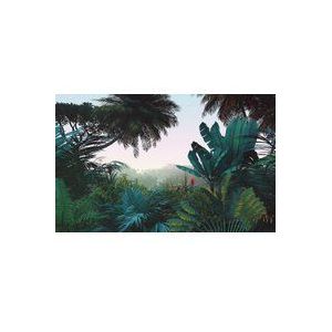 Komar Vlies fotobehang - Jungle Morning - Afmeting: 400 x 250 cm (breedte x hoogte) - behang, design, woonkamer, wanddecoratie, slaapkamer, palmen, boom, bloemen, landschap - LJX8-060