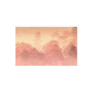 Komar Vlies fotobehang - Heartwood - Grootte: 400 x 250 cm (breedte x hoogte) - behang, design, woonkamer, wanddecoratie, slaapkamer, boomkroon, zomer, hemel - LJX8-062
