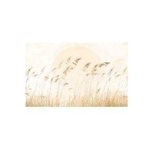 Komar Wandfoto Dune Grass