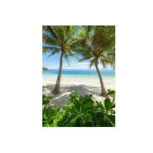 Komar Fotobehang Palmy Beach | Fotobehang