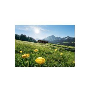 Komar Next Page fleece fotobehang ALPENGLÜCK | behang, XXL, decoratie, natuur, landschap, slaapkamer, woonkamer, kantoor, hal | Grootte 400 x 280 cm (breedte x hoogte) | SHX8-003, bont