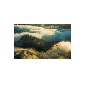 Komar Fotobehang Pangea 450x280cm