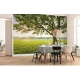 Komar vliesbehang The Magic Tree | behang, XXL, decoratie, natuur, landschap, slaapkamer, woonkamer, kantoor, hal | Grootte 450 x 280 cm (breedte x hoogte) | SHX9-086, bont