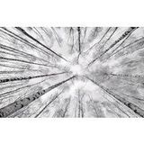 Komar Fleece Muurafbeelding Wit-BLAUW | Behang, XXL, Decoratie, Natuur, Landschap, Slaapkamer, woonkamer, kantoor, hal | Grootte 450 x 280 cm (breedte x hoogte) | SHX9-093, Gekleurd