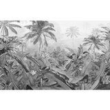 Komar Fotobehang Amazonia Black and White 400x250 cm