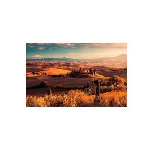 Komar Fotobehang Toscana Gold | Fotobehang