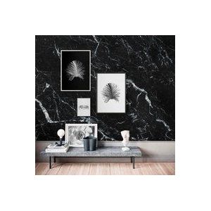 Komar Muurschilderingen wit crab wandafbeeldingen woonkamer slaapkamer zonder lijst P080A-40x50 | Afmetingen 40x50 cm (breedte x hoogte)