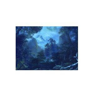 Komar Vlies fotobehang Midnight - woonkamer, slaapkamer, landschap, nacht, natuur, grootte: 400 x 280 cm (breedte x hoogte) - 8 banen - baanbreedte 50 cm