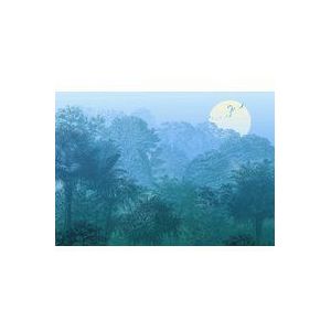 Komar Fotobehang Deep In The Jungle 400x280cm | Fotobehang