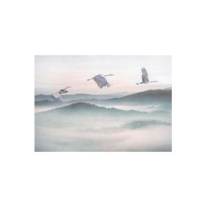 Komar Vlies fotobehang Mystic Cranes - kraanvogels, wolken, woonkamer, slaapkamer, decoratie, behang, grootte: 400 x 280 cm (breedte x hoogte) - 8 banen - baanbreedte 50 cm