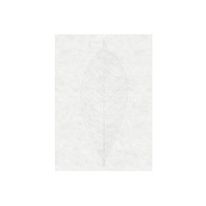 Komar Fotobehang Decent Leaf 200x280cm