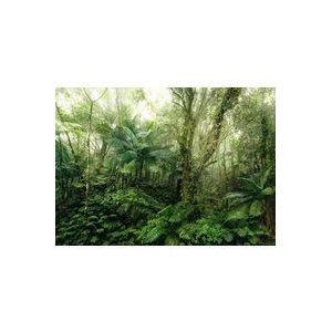 Komar X7-1009 Fleece Mindfulness-Grootte: 350 x 250 cm-7 banen, baanbreedte 50 cm behang, decoratie, wandbehang, regenwoud, jungle X7-1009 fotobehang, groen, geel