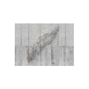 Komar X7-1023 Vlies Concrete Feather-grootte: 350 x 250 cm-7 banen, baanbreedte 50 cm betonlook, behang, decoratie, wandbehang, wandbekleding, designbehang X7-1023 fotobehang, grijs, zwart