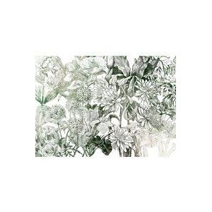 Komar X7-1045 Vlies Valerie-formaat 350 x 250 cm behang, wanddecoratie, woonkamer, design, modern, wandbedekking fotobehang, groen, wit