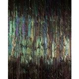 Komar Vlies fotobehang - Dark Wings - afmeting 200 x 250 cm, baanbreedte 50 cm - behang, veren, schapenkamer, woonkamer
