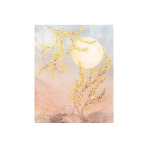 Komar Vlies fotobehang - Sol - afmetingen 200 x 250 cm, baanbreedte 50 cm - behang, bloemen, schapenkamer, woonkamer