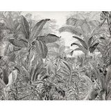 Komar Vlies fotobehang - Roraima - afmetingen: 350 x 280 cm (breedte x hoogte) - jungle, regenwoud, s/w, palmen, kinderkamer, behang - IAX7-0003