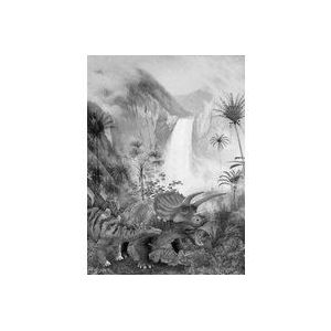 Komar Dino fleece fotobehang - Jurassic Waterval - afmetingen: 200 x 280 cm (breedte x hoogte) - dino, dinosaurus, oerwoud, kinderkamer, behang - IAX4-0020