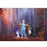 Komar Disney Fleece Muurafbeelding - Frozen Herfst Glade - Afmetingen: 400 x 280 cm (breedte x hoogte) - kinderkamer, behang, prinses, Anna, Elsa, de ijskoningin - IADX8-005