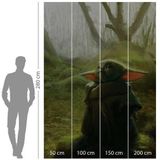 Komar Star Wars fleece fotobehang - Mandalorian Grogu acryl - afmetingen: 200 x 280 cm (breedte x hoogte) - Baby Yoda, kinderbehang, kinderkamer, behang - IADX4-018