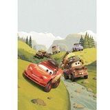 Komar Disney Fleece Muurafbeelding - Cars Camping - Afmetingen: 200 x 280 cm (breedte x hoogte) - kinderkamer, behang, muurbehang, speelauto- IADX4-034