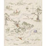 Komar Disney Fleece Muurafbeelding - Winnie Poeh Map - Afmetingen: 200 x 240 cm (breedte x hoogte) - kinderkamer, behang, landkaart, IADX4-042
