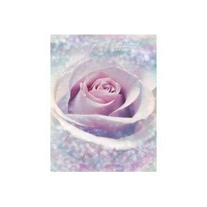 Fotobehang - Filigraan Bloemen - Pastelkleur - Duurzaam Kwaliteitsvlies