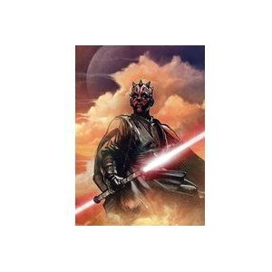 Komar Cl Fleece Muurafbeelding Wars Classic Death Star Trench Run | Grootte: 200 x 280 cm (breedte x hoogte), baanbreedte 50 cm | Behang, muurschildering, decoratie, kinderkamer, | DX4-042, kleurrijk