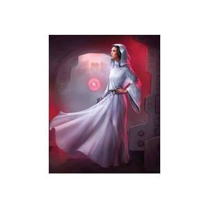 Komar Fleece Muurafbeelding Star Wars Kylo Vader Shadow | Maat: 200 x 280 cm (breedte x hoogte), baanbreedte 50 cm | Behang, Wandbekleding, Kinderkamer | DX4-074, zwart, wit