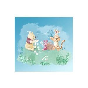 Komar fleece fotobehang Winnie Pooh Picnic | grootte: 300 x 280 cm (breedte x hoogte), baanbreedte 50 cm | behang, muurfoto, decoratie, wandbekleding, kinderkamer, slaapkamer | DX6-033, kleurrijk