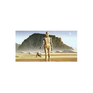 Komar Vlies fotobehang Star Wars Classic RMQ Droids | Maat: 500 x 250 cm (breedte x hoogte), baanbreedte 50 cm | behang, muurschildering, decoratie, wandbekleding, kinderkamer, | DX10-051, geel, bruin