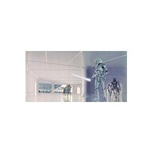 Komar Star Wars vlies fotobehang, grijs, zwart, 500 x 250 cm (breedte x hoogte), baanbreedte 50 cm