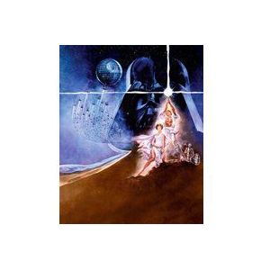 Komar - Star Wars - Vlies fotobehang POSTER CLASSIC - 200x250cm - behang, muurdecoratie, retro, Leia, Luke - 008-DVD2