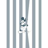 Fototapete 250 x 200 cm Disney Micky Offbeat Vlies Grau, Weiß, Schwarz Digitaldrucktapete Micky Offbeat Micky Maus Klassiker Comics 2 Bahnen