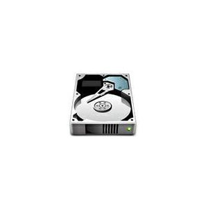 Fujitsu 900 GB SAS 2,5 inch (6,3 cm), 900 GB, 10.000 rpm