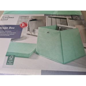 Livarno home Opbergbox - Incl Deksel - 30.5x30.5x29.5cm - Mint - Max 6kg
