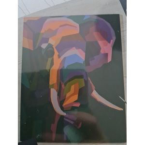 Crelando schilderen op nummer Olifant 40x50cm