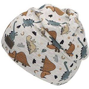 Jungen Beanie DINO Sterntaler