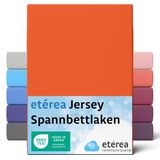 Hoeslaken - Grijs - Katoen - 1 Persoons