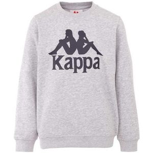 Kappa Sertum Junior Sweatshirt 703797J-15-4101M, voor een jongen, Grijs, Sweatshirt, maat: 134-140