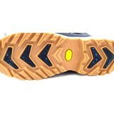 Lowa - RENEGADE EVO ICE GTX - Winterlaars - Navy Honey - Waterdicht