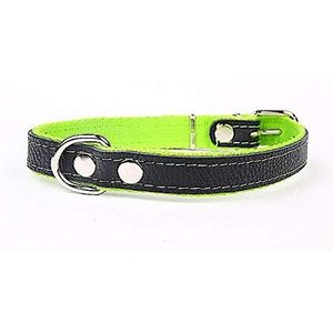 Hondenhalsband met zachte en robuuste voering van echt leer, 40 mm breed, 55 cm lang, groen