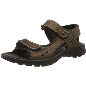 ROHDE Wandelsandalen  bruin / groen