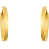 Creolen - Goudkleur - Massief - Clipsluiting