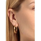 Creolen - Goudkleur - Massief - Clipsluiting