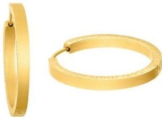 Creolen - Goudkleur - Massief - Clipsluiting