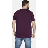 Charles Colby Regular Fit Polo EARL PHILLINS Plus Size Paars