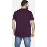 Charles Colby Regular Fit Polo EARL PHILLINS Plus Size Paars