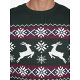 Jan Vanderstorm - TORE - Gebreide Trui - Groen